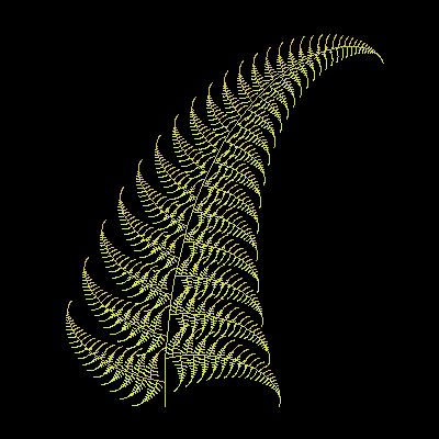 Fractal Fern